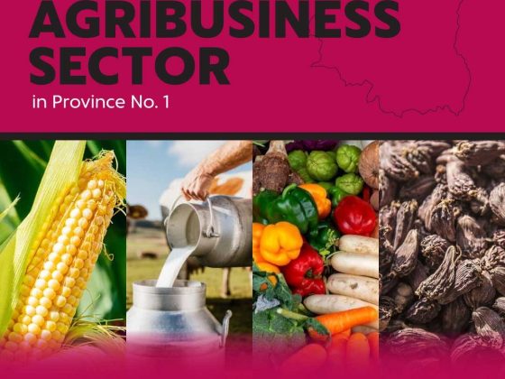 Investigation of the AGRIBUSINESS SECTOR in Province No. 1